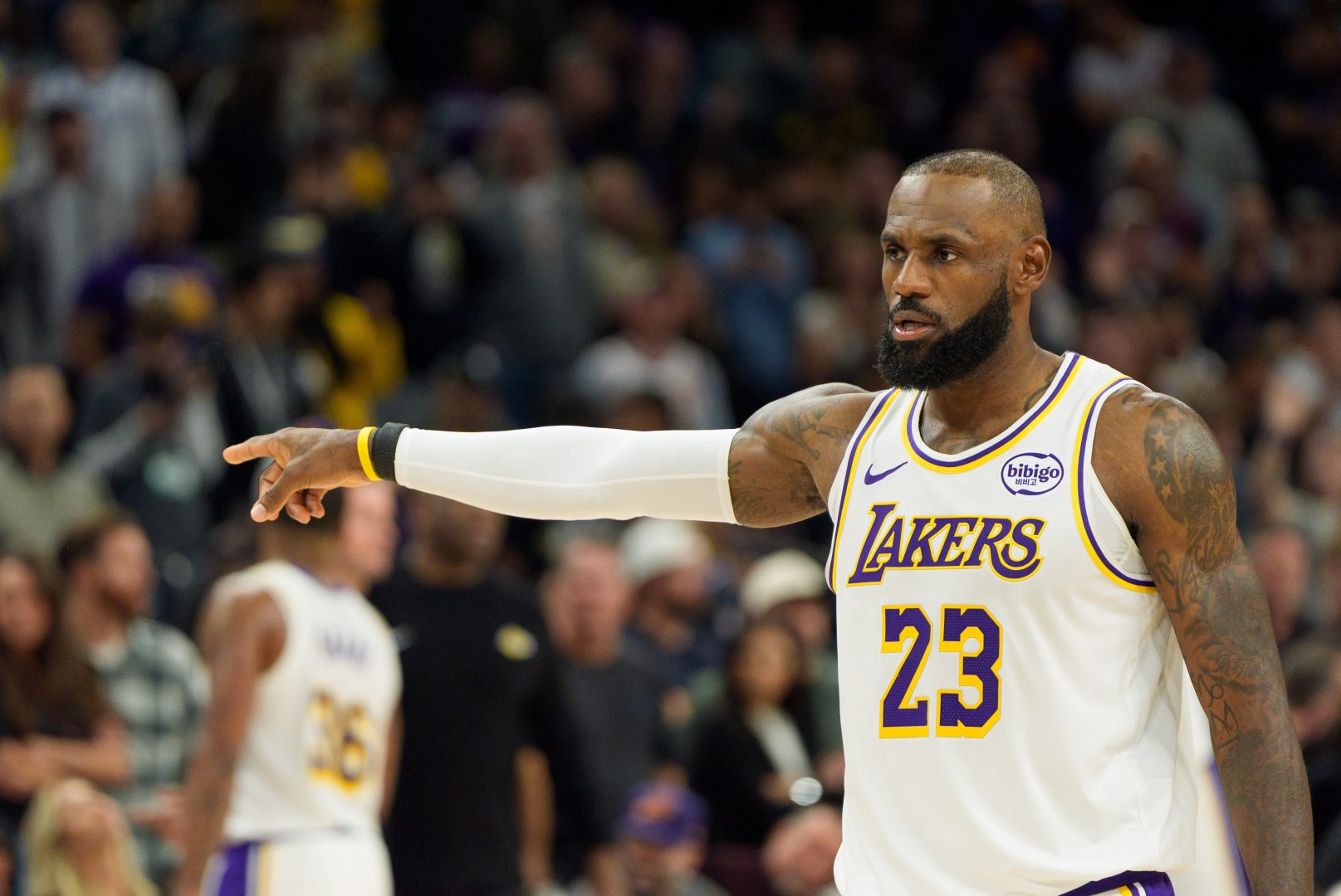 LeBron James manda ko Golden State, Charlotte non si ferma: il resoconto della notte Nba
